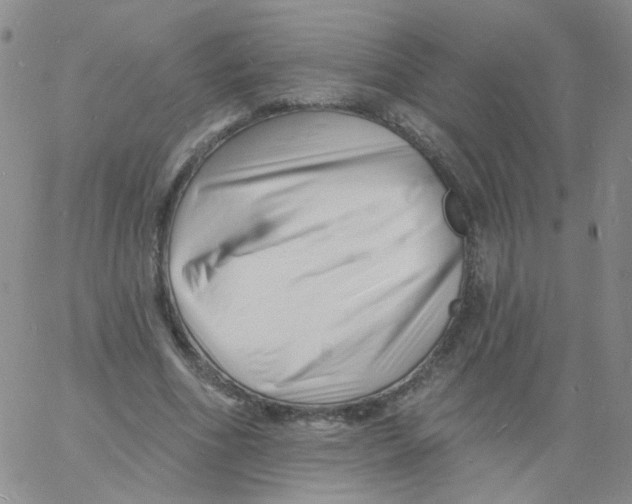 X0000060740586200512081920