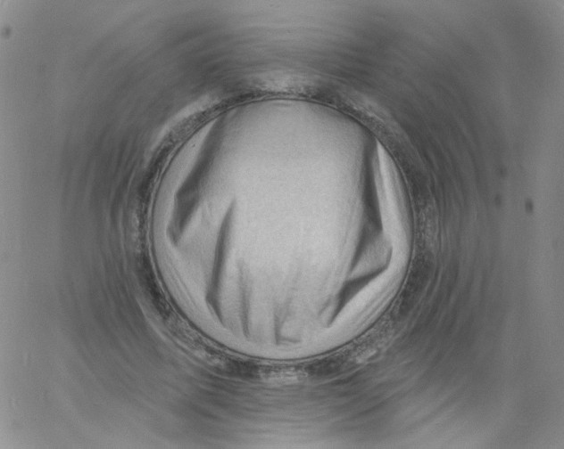 X0000060740587200512081920