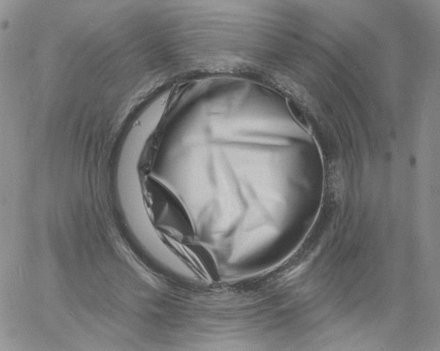 X0000060740589200512081920