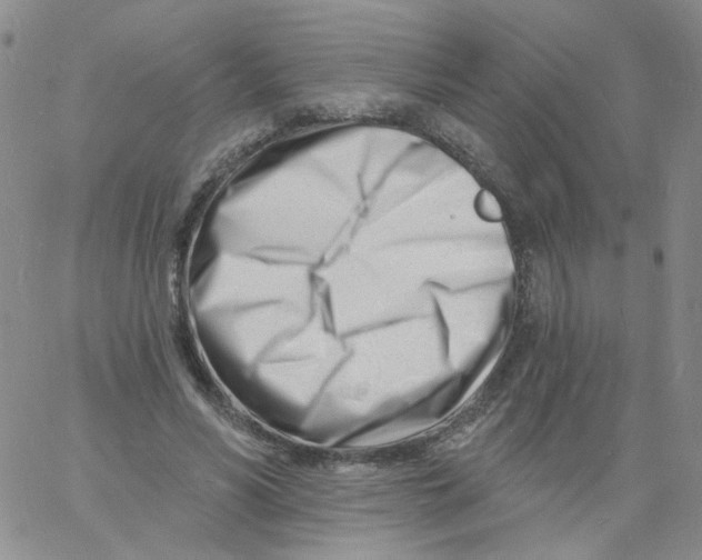 X0000060740590200512081920