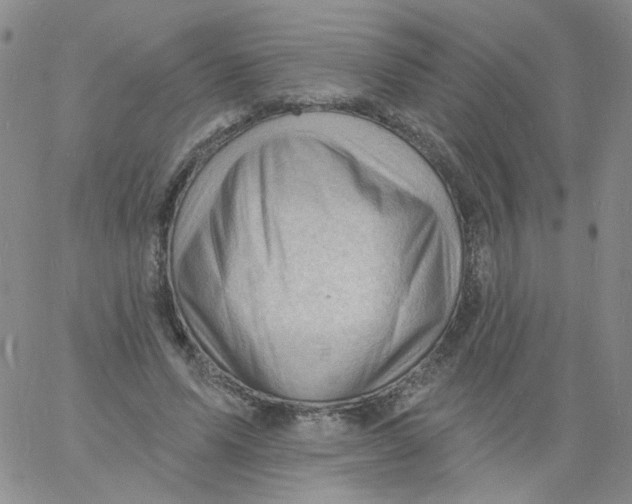 X0000060740591200512081920