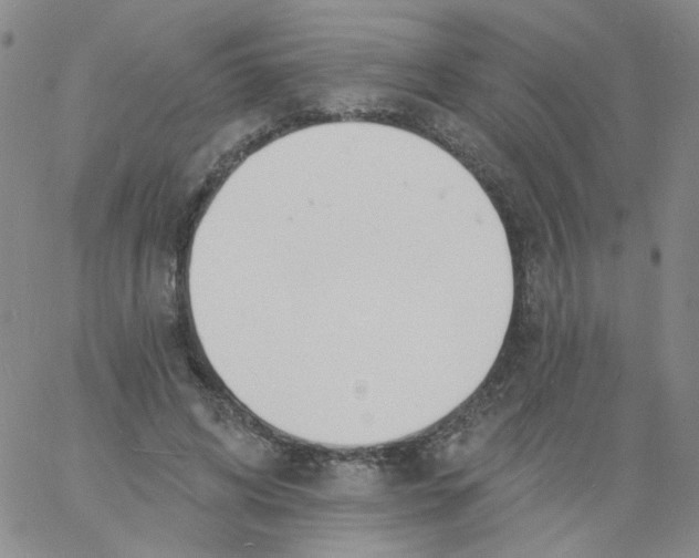 X0000060740592200512081920