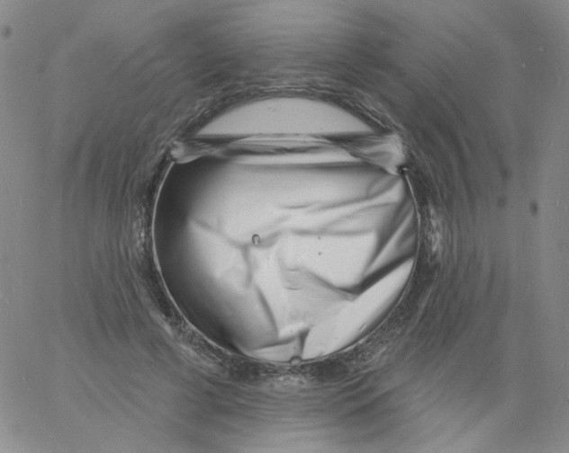 X0000060740593200512081920