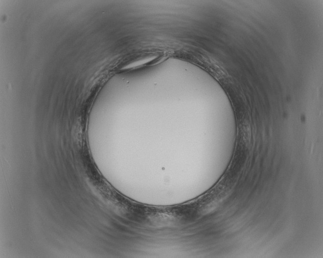 X0000060740594200512081920