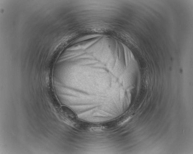 X0000060740595200512081920