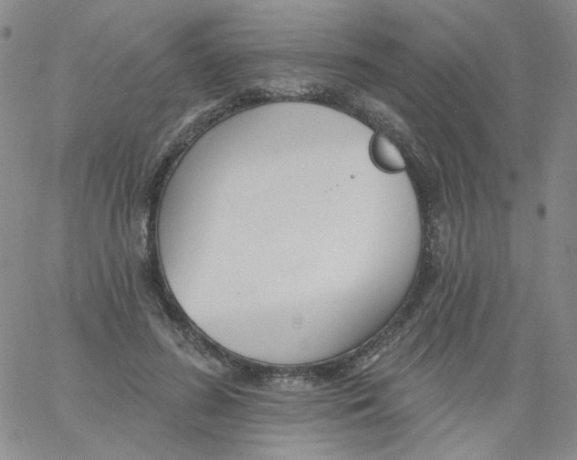 X0000060740596200512081920