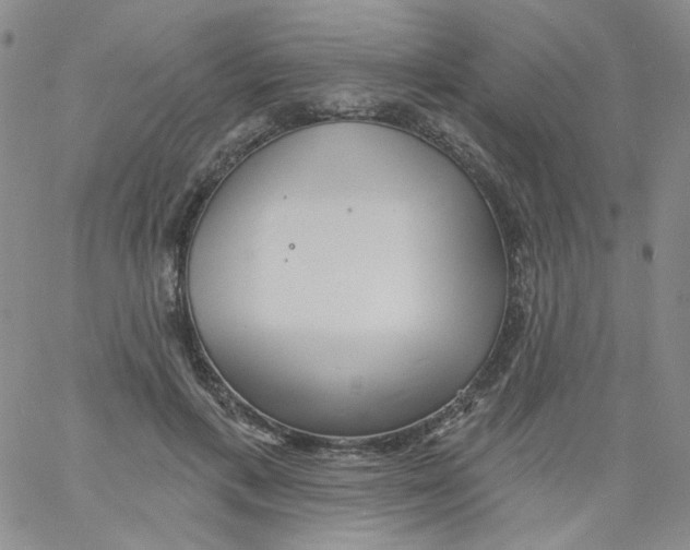 X0000060740597200512081920