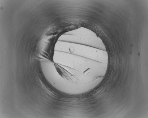 X0000060740598200512081920