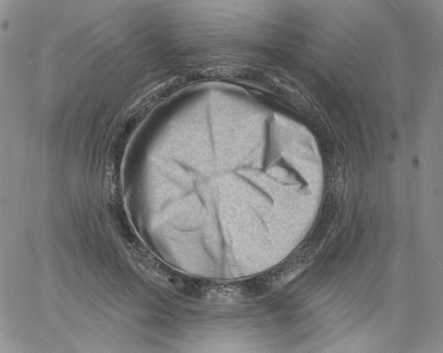 X0000060740599200512081919