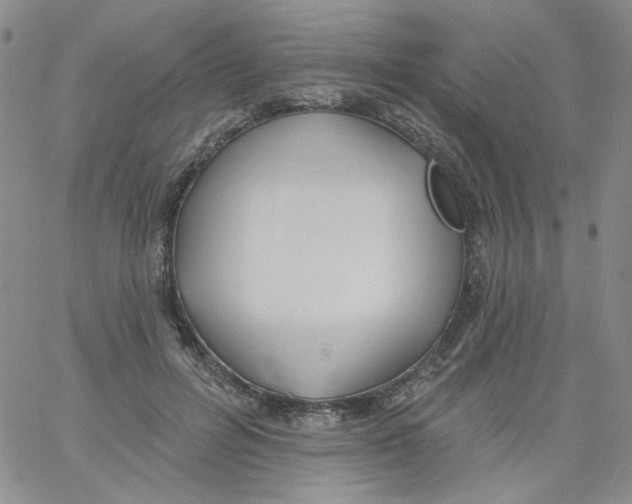 X0000060740600200512081919