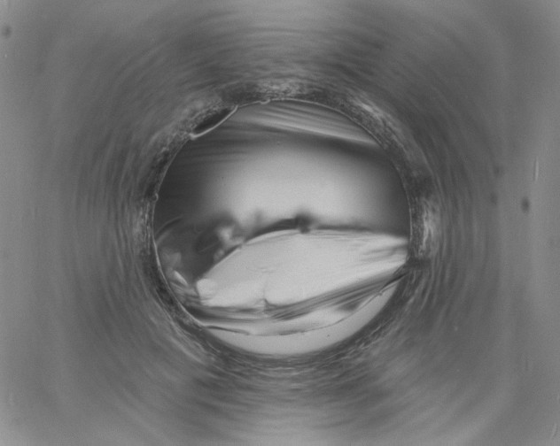 X0000060740601200512081919