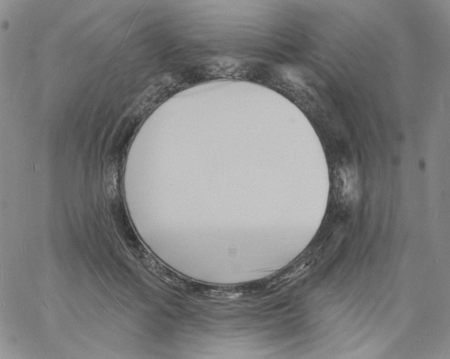 X0000060740602200512081919