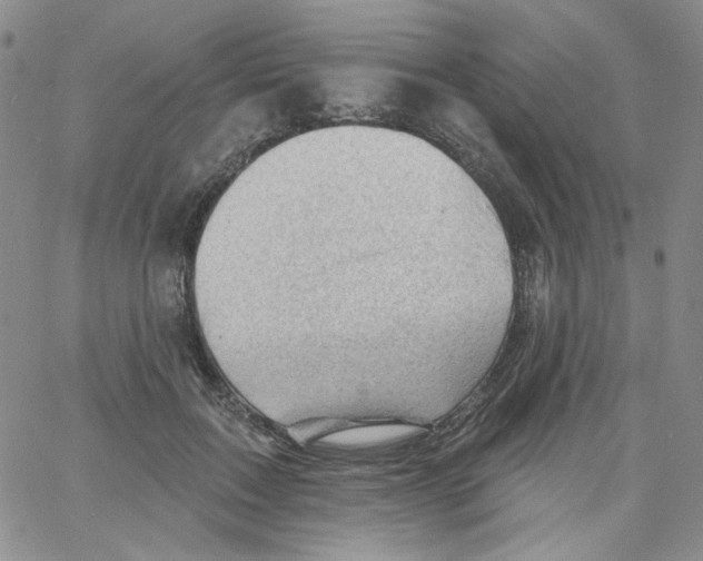 X0000060740603200512081919