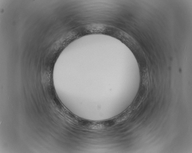 X0000060740604200512081919