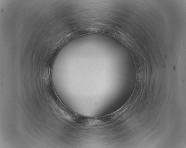 X0000060740605200512081919