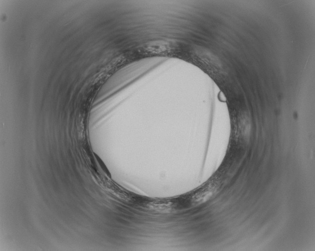 X0000060740606200512081919