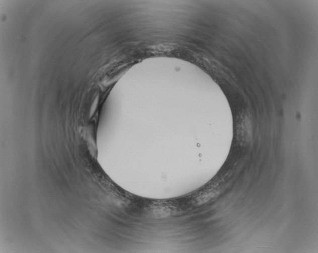 X0000060740608200512081919