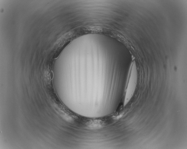 X0000060740609200512081919