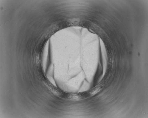 X0000060740610200512081919