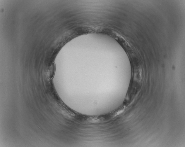 X0000060740613200512081919