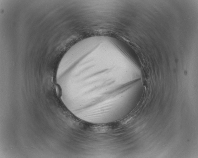 X0000060740615200512081919