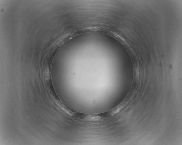 X0000060740617200512081919