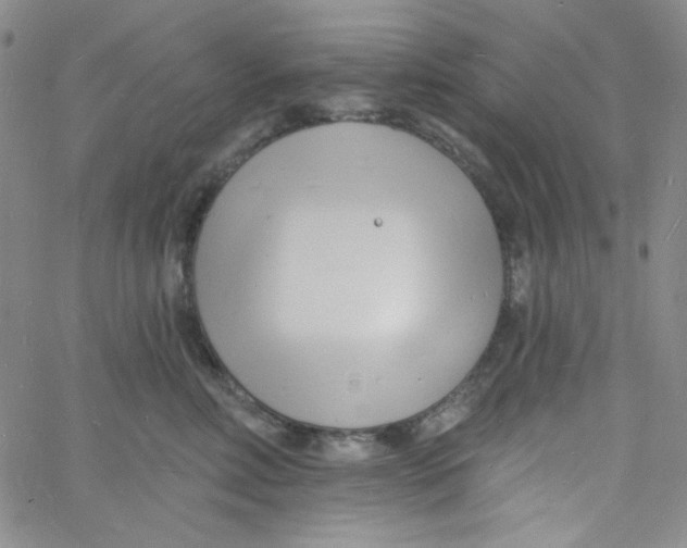 X0000060740618200512081919