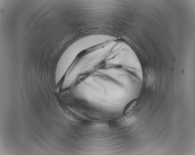 X0000060740619200512081919