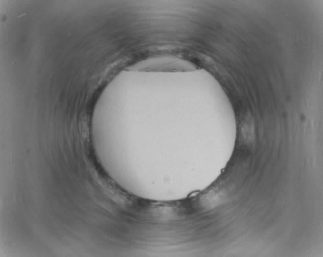 X0000060740620200512081919