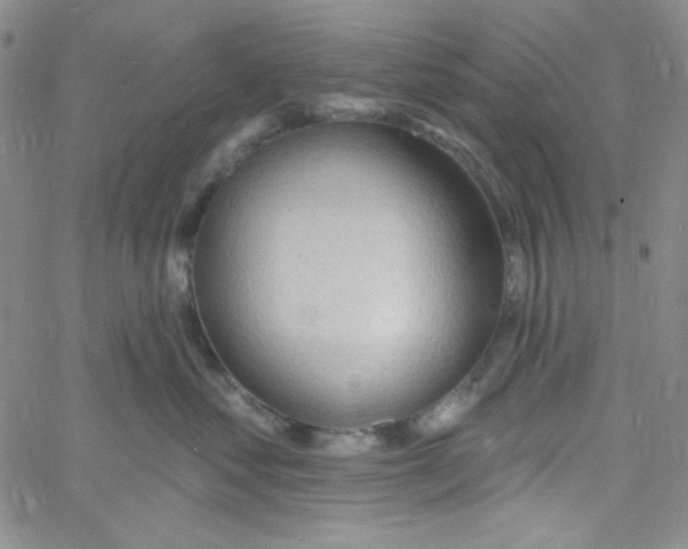 X0000060740621200512081919