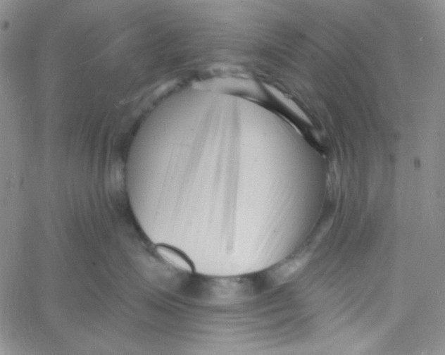 X0000060740623200512081919