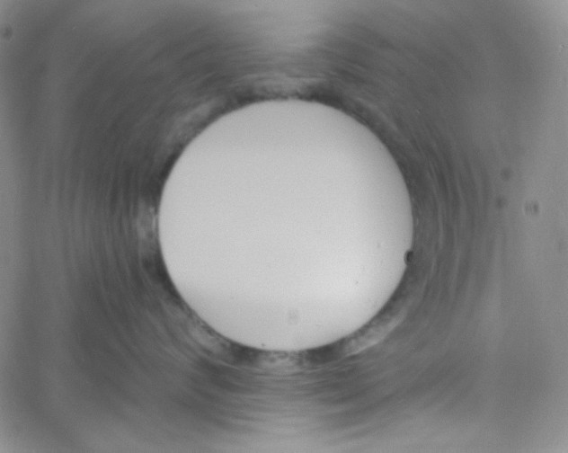 X0000060740624200512081919