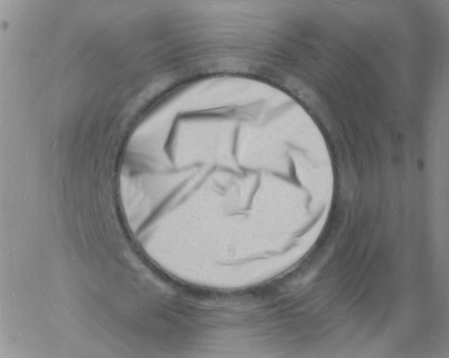 X0000060740625200512081918