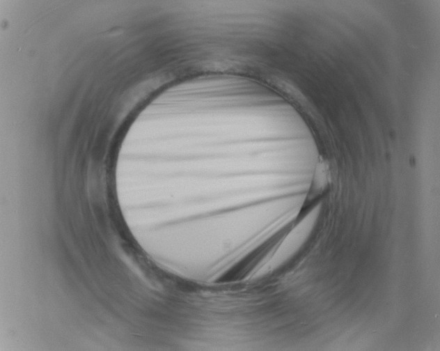 X0000060740626200512081918