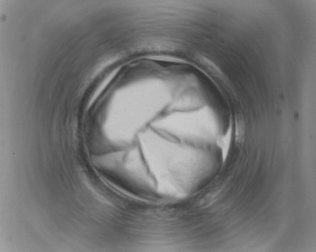 X0000060740627200512081918