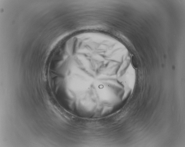 X0000060740628200512081918