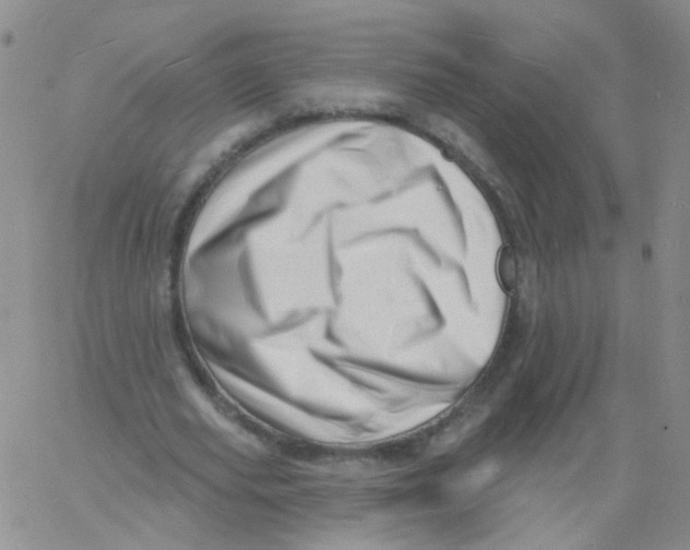 X0000060740629200512081918