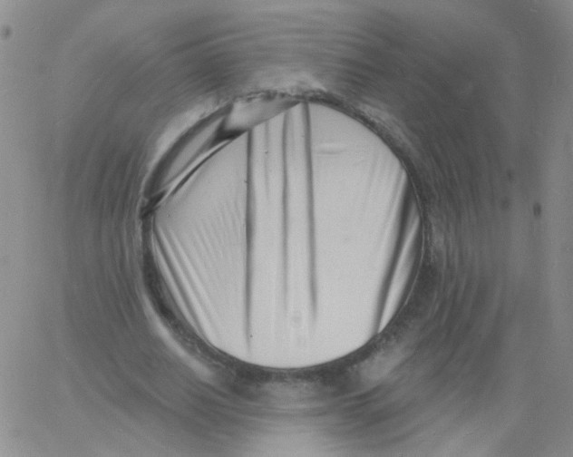 X0000060740630200512081918