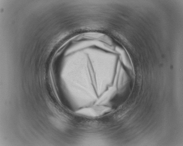 X0000060740631200512081918