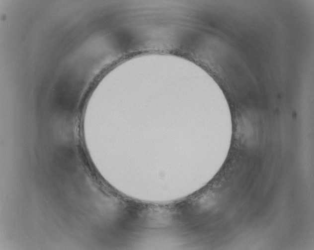 X0000060740632200512081918