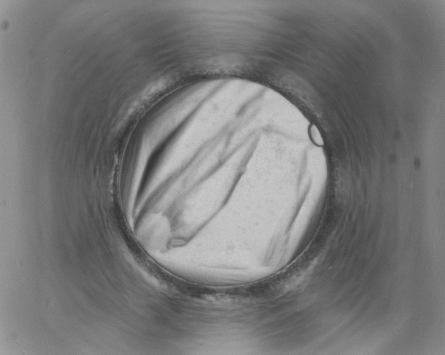 X0000060740633200512081918