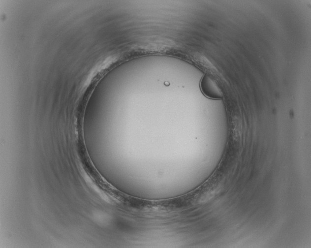 X0000060740634200512081918