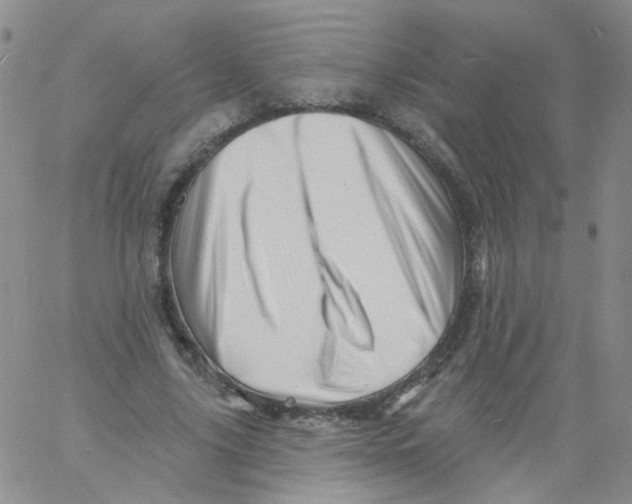 X0000060740635200512081918