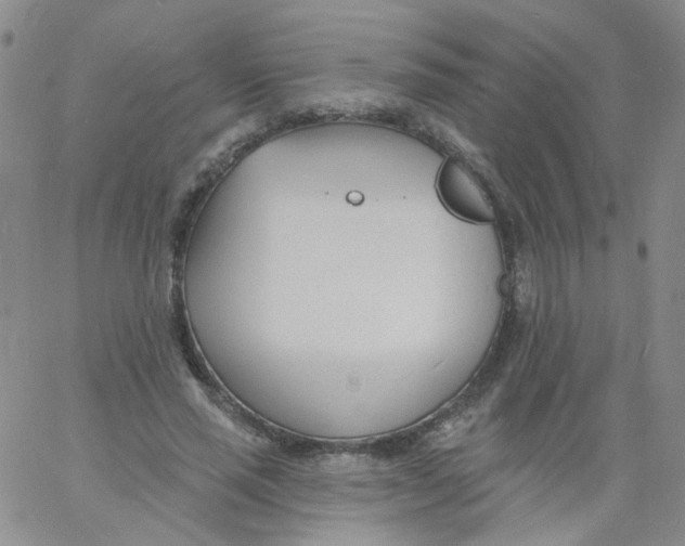 X0000060740637200512081919