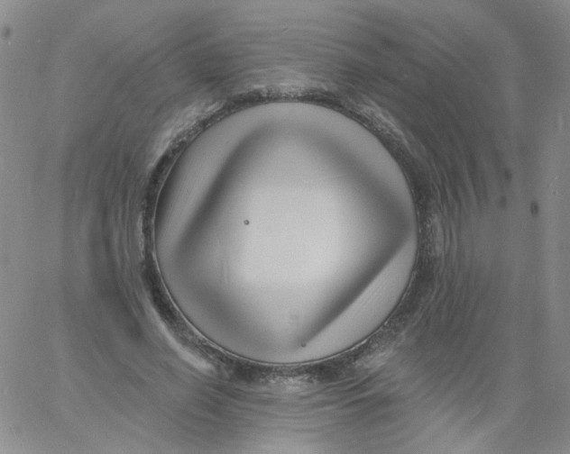 X0000060740638200512081919