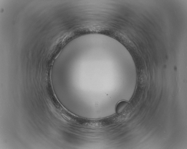 X0000060740639200512081919