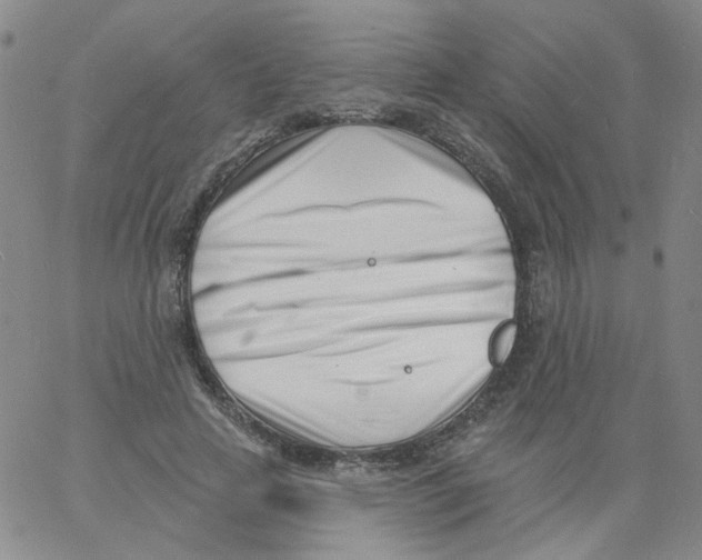 X0000060740641200512081919