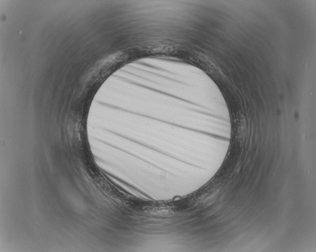 X0000060740643200512081919