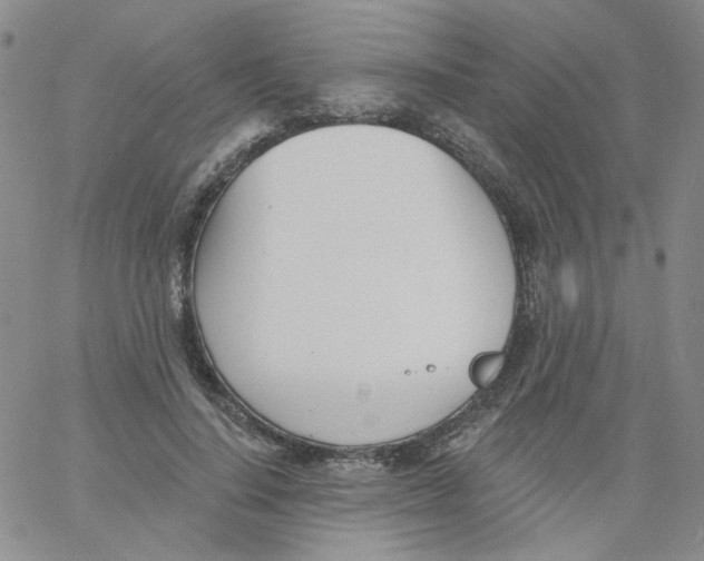 X0000060740644200512081919