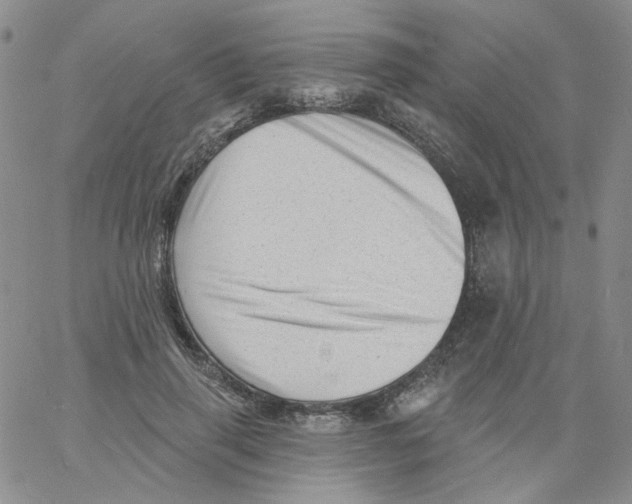 X0000060740645200512081919